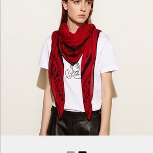 Special edition Disney x coach scarf